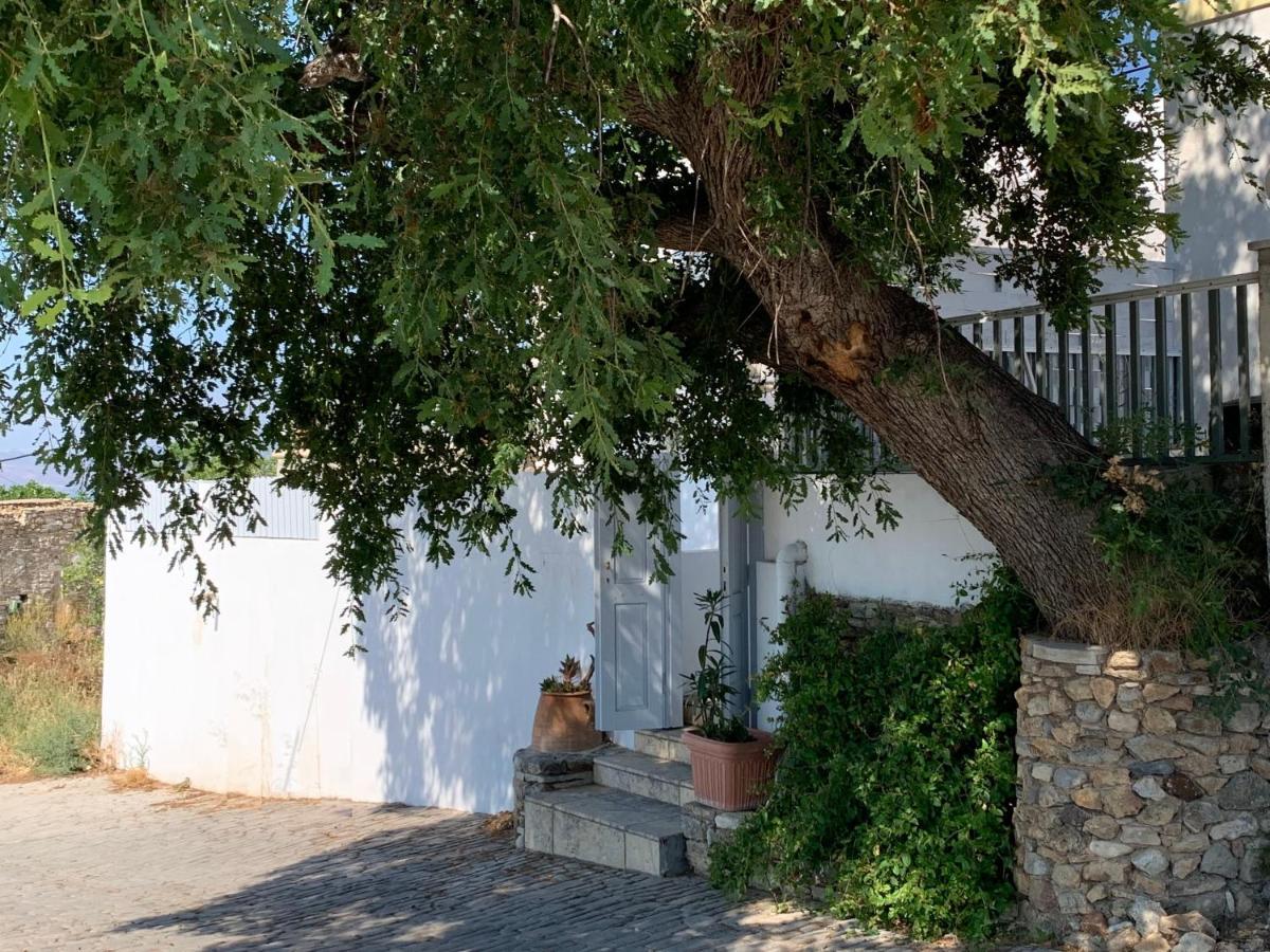 Вилла Moeses House Asfendiou Экстерьер фото